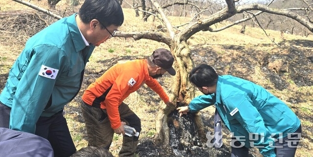 의성중부농업협동조합 이미지