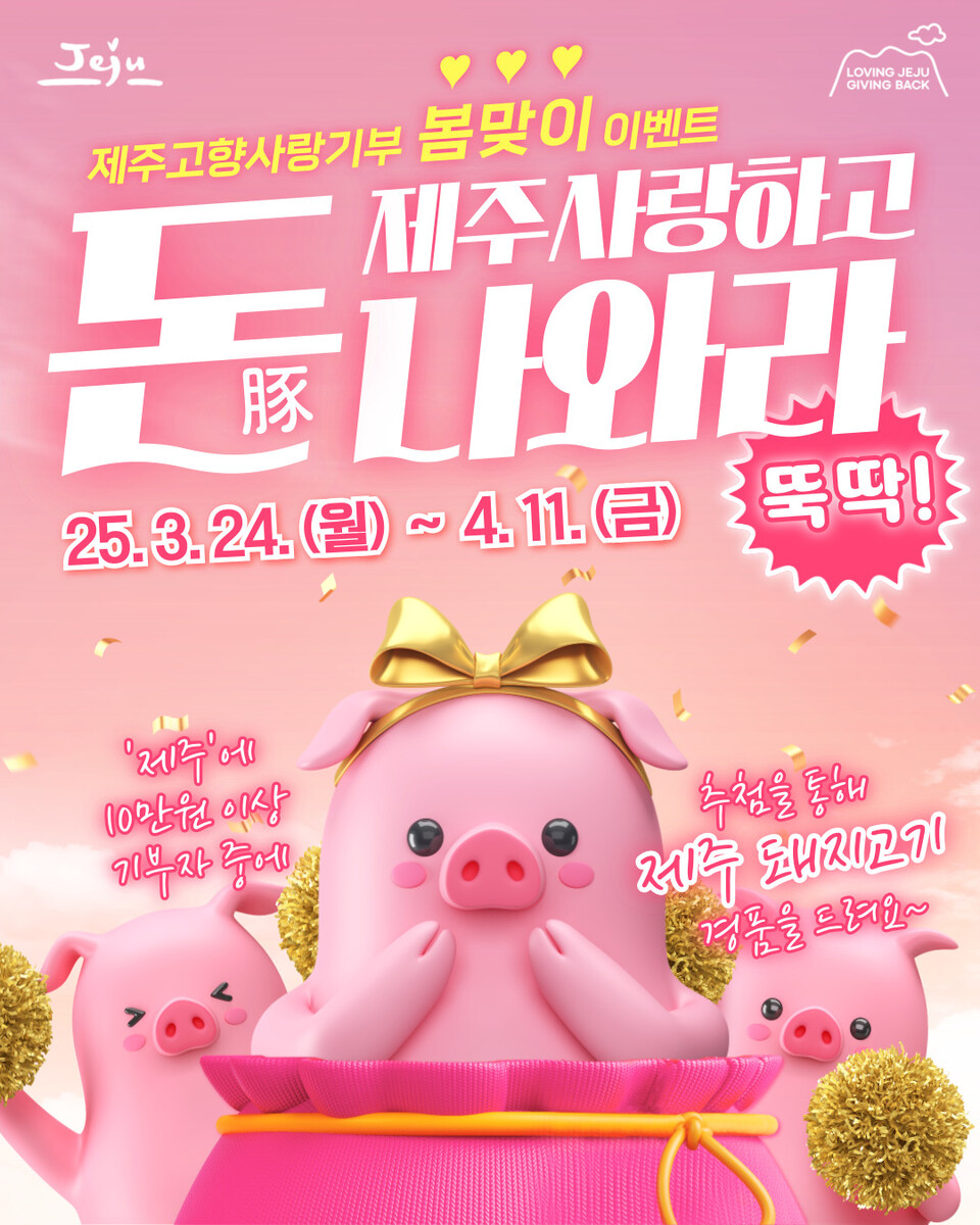 제주돈이다 이미지