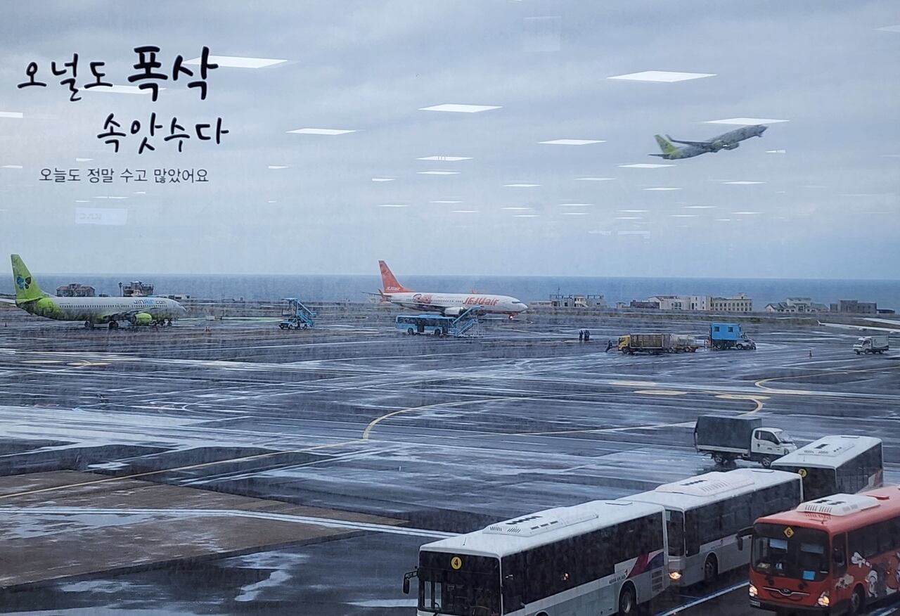 제주글로벌여행 이미지
