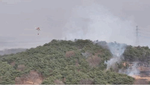 당진시 제공.&nbsp;