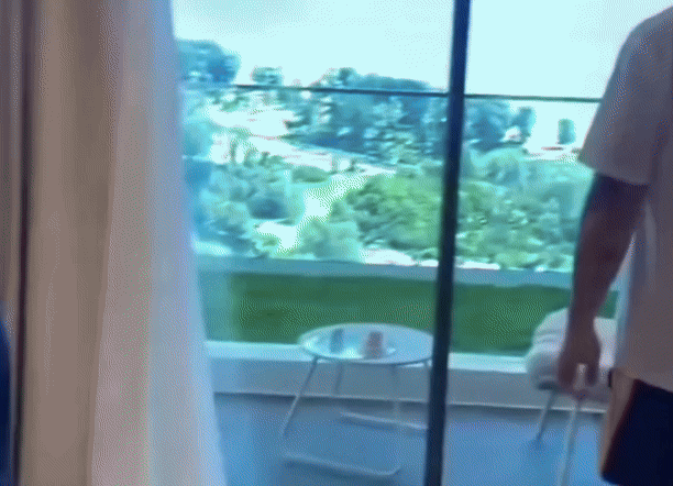 ⓒ프리프레스저널