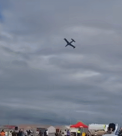 페이스북 @Debbie Els 갈무리