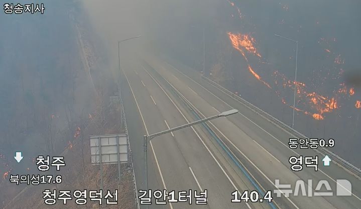 서의성IC 이미지