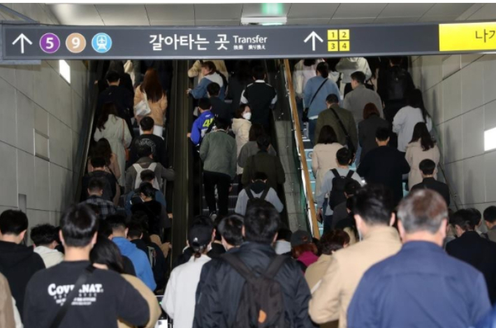 골드라인 이미지