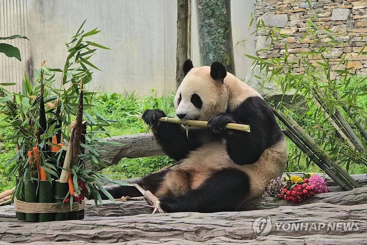 아주좋아 이미지