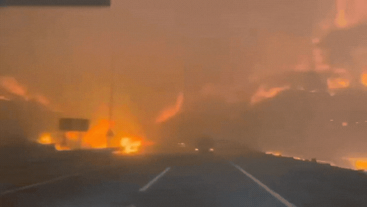 의성 산불이 발생한지 닷새째인 26일, 산불 인근 현장을 찍은 것으로 추정되는 영상. /온라인 커뮤니티 캡처