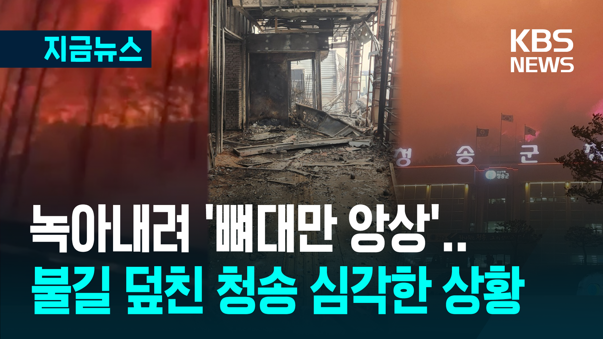 “숨 쉴 수가 없어” 희뿌연 연기 가득, 청송휴게소도 산불 피해 [지금뉴스] - kakaoTV “숨 쉴 수가 없어” 희뿌연 연기 가득, 청송휴게소도... 