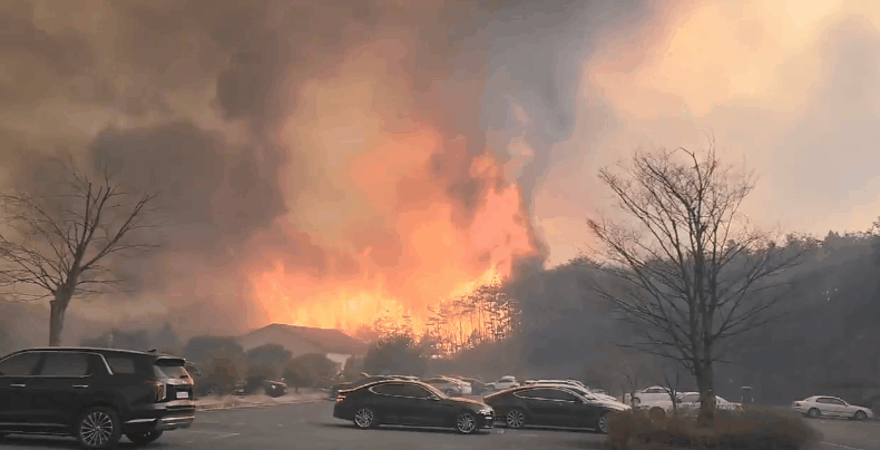 영상 출처=온라인 커뮤니티