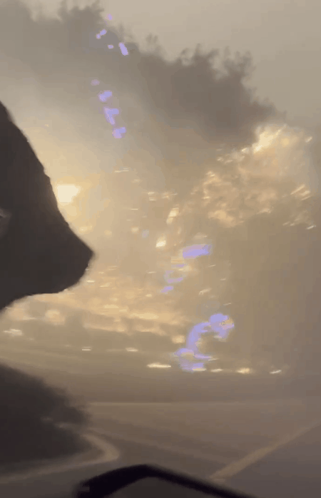 영상 출처=온라인 커뮤니티