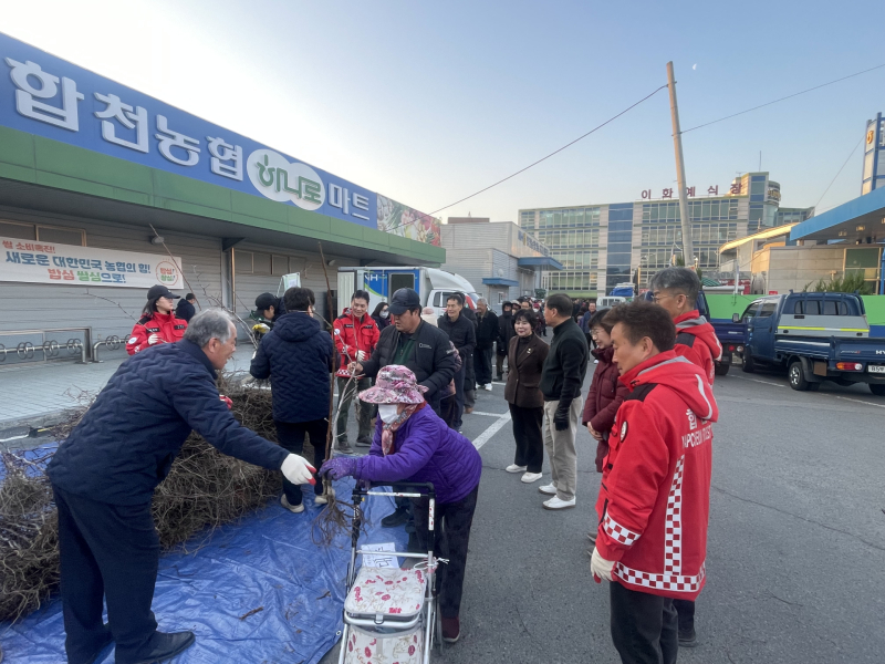 합천농협 하나로마트 이미지