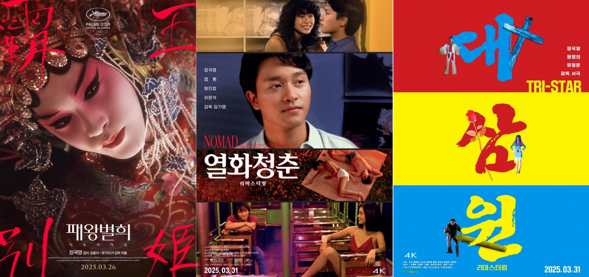 디청춘미디어 이미지