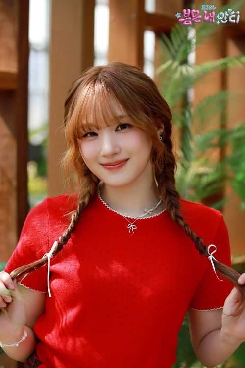 이젤 이미지