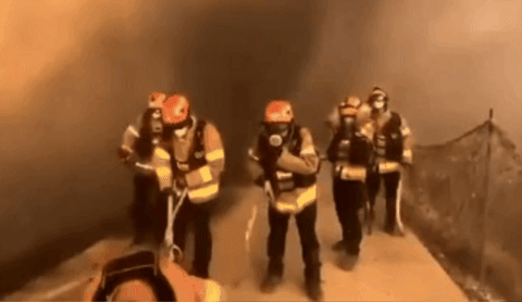 영남 지역 산불 피해가 심각한 가운데 현장에 출동한 소방대원의 긴박한 순간이 담긴 보디캠이 공개됐다. 영상은 경북 산불 현장에서 강풍을 맞딱드린 소방대원들의 모습. /영상=온라인커뮤니티