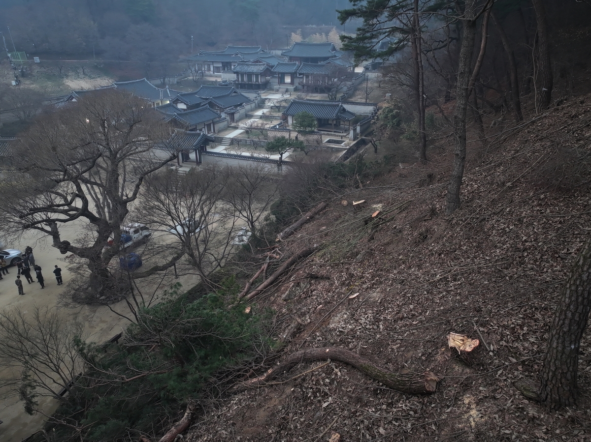 도산 이미지