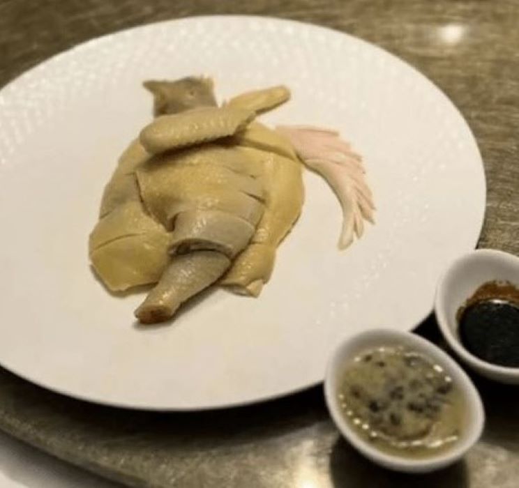 원닭한마리 이미지