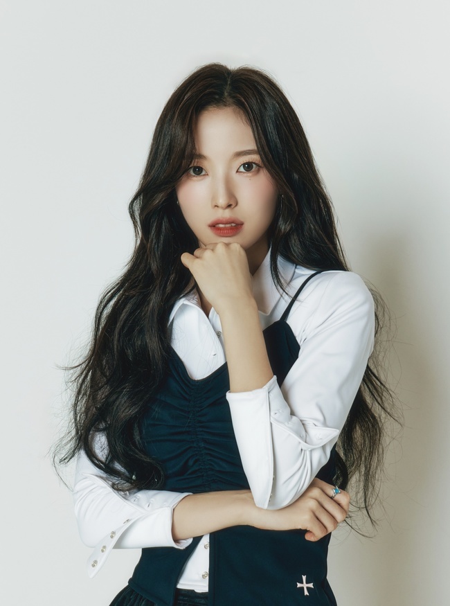아린 이미지