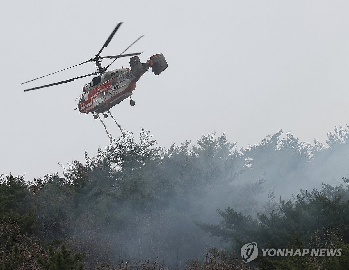 그을린 이미지