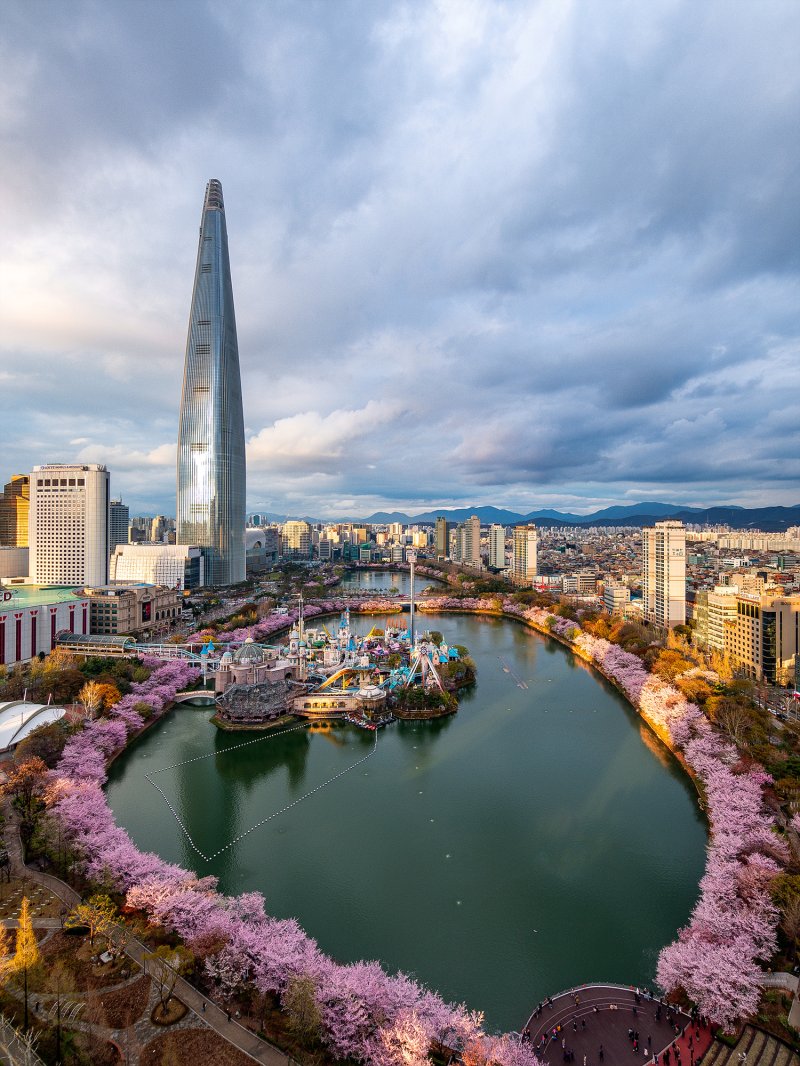 찬란 이미지