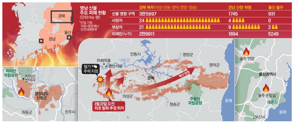 진화 이미지
