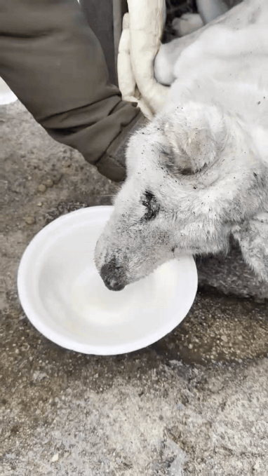 /사진=사단법인 위액트(@we.a.c.t) 인스타그램