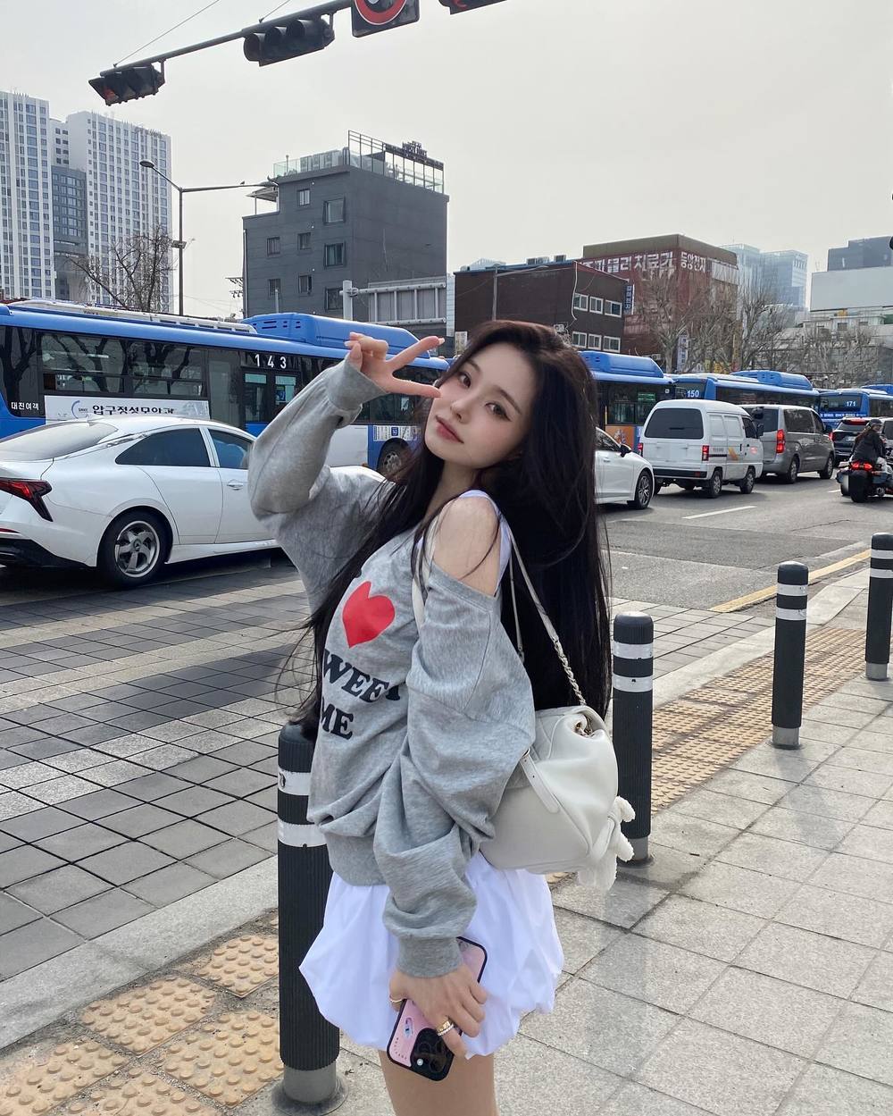 프리지아 이미지
