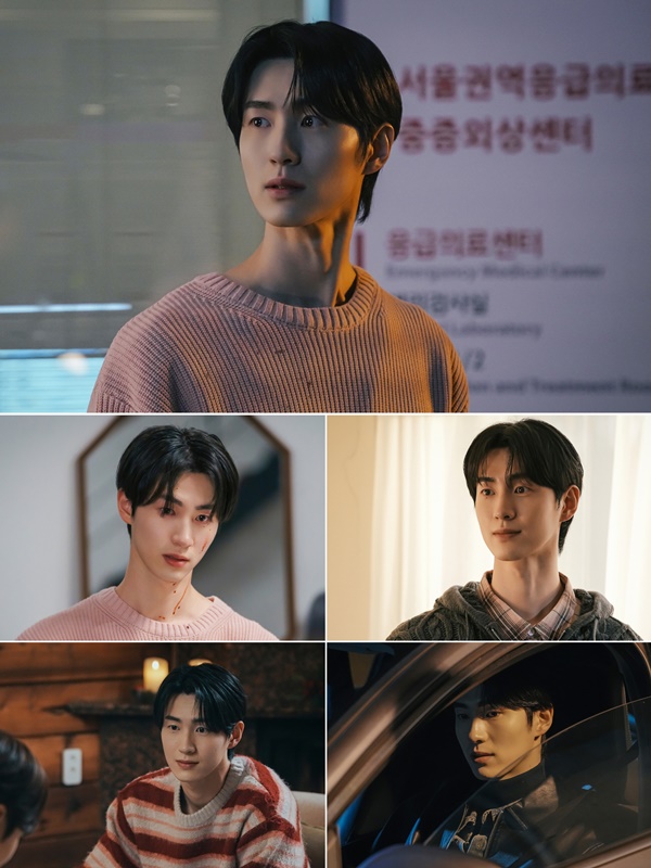_사이 이미지