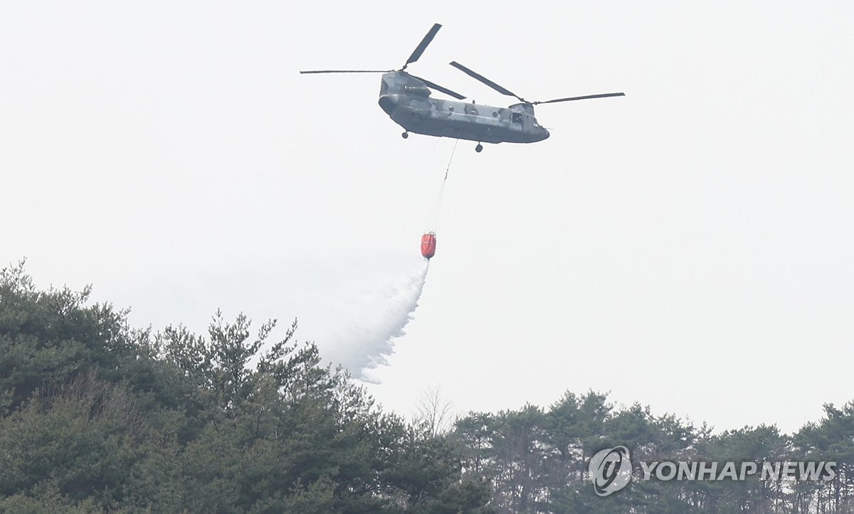 대도인력 이미지