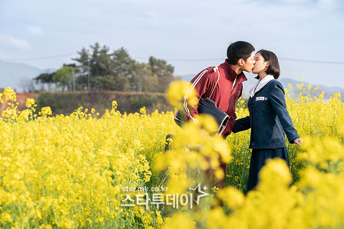 사진집 이미지