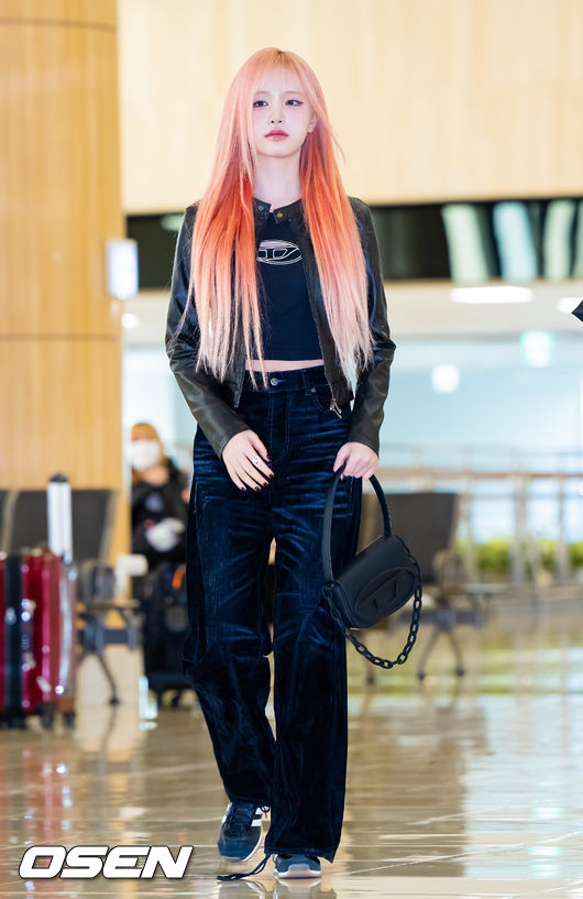리즈 이미지