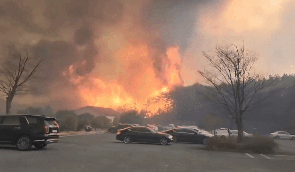 (온라인 커뮤니티 갈무리)