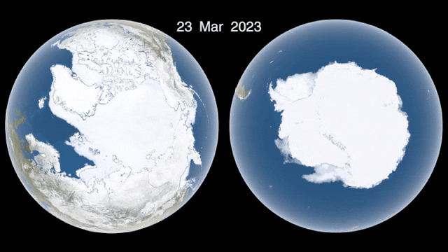 극 지방의 얼음은 북극(왼쪽)과 남극(오른쪽)에서 계절에 따라 커지고 줄어드는 것을 반복한다. 과학자들이 반세기 전에 이 지역의 얼음을 추적한 이후로 얼음의 크기는 지속적으로 감소했다. (출처= Trent Schindler/NASA Scientific Visualization Studio)