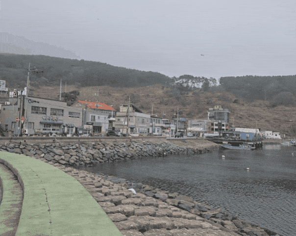 지난 27일 짙은 안개가 낀 부산 강서구 가덕도 대항선착장과 마을 전경. 본격적인 공사가 시작되면 이 일대는 전면 매립된다. 최서윤 기자