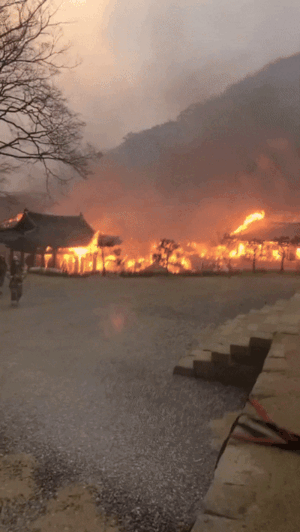 25일 경북 의성군 고운사 경내 건물들에 산불이 옮겨붙고 있다. 현장 소방대원 제공