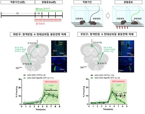 공감커뮤니케이션즈 이미지