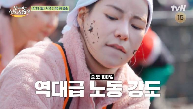 먹거리언니네 이미지