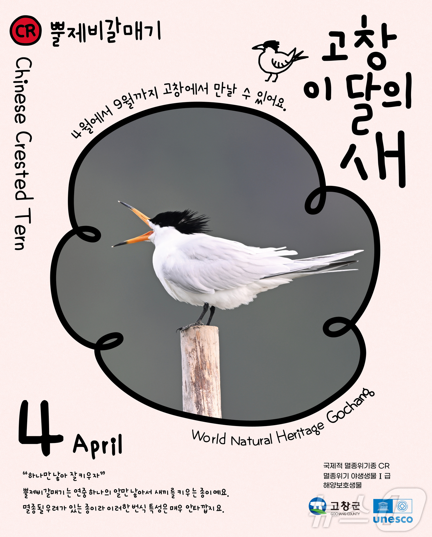 새 이미지