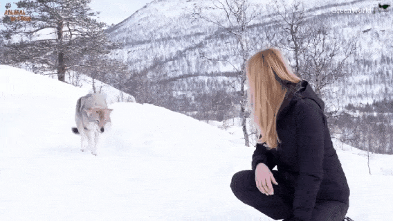 0490f719b6826af520b8dfb336ef203e8e9a0c55c77161c8fb