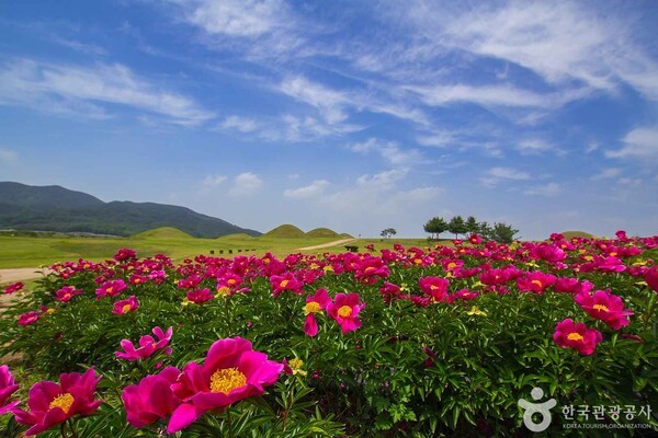 (주)의성 이미지