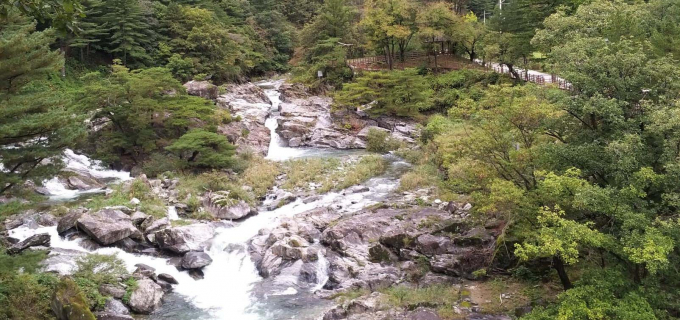 도립 이미지