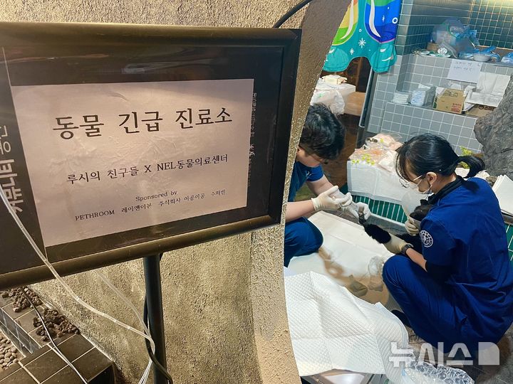 베이스캠프 이미지