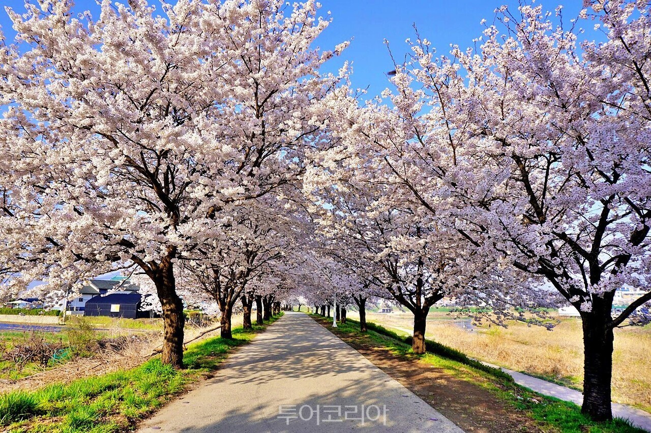 용전주유소 이미지
