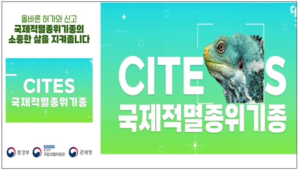 허가 이미지