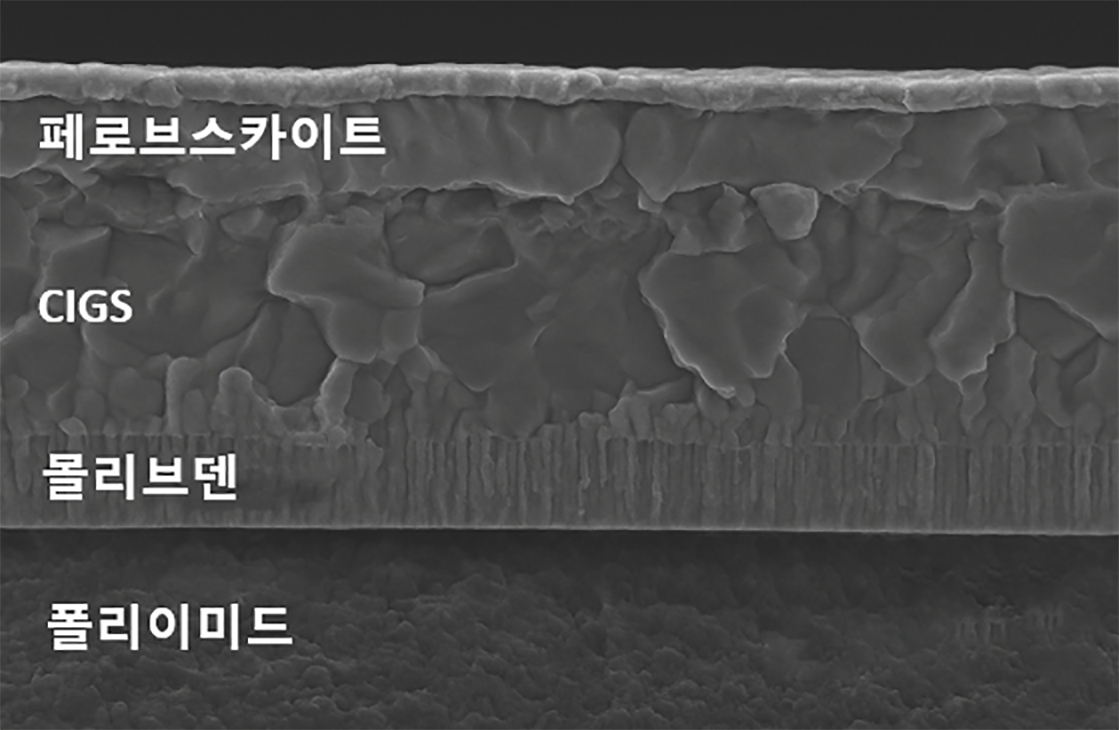 더태양 이미지
