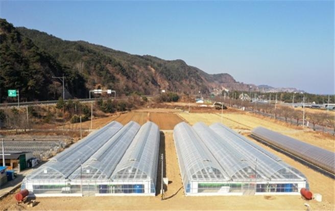 청년농장 이미지