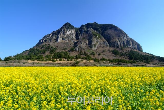제주 이미지