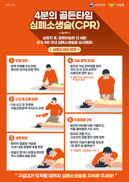 보듯 이미지