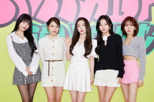 벳 이미지