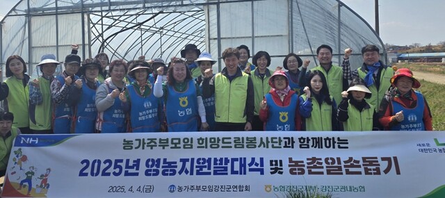 강진인력 이미지