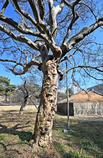 라927 이미지