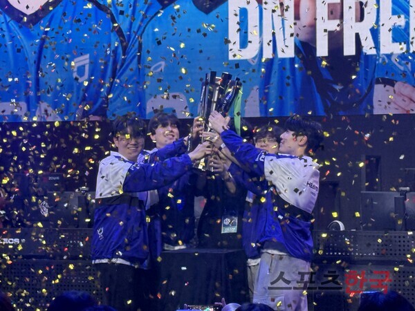DN 이미지
